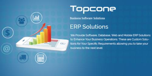 Topcone logo with text: ERP System, What, Why and How